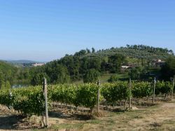 Agriturismo San Bernardino del Lago Azienda Agricola Palmerini