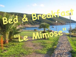 Bed and Breakfast Le Mimose