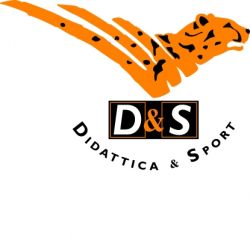 D&S Srl