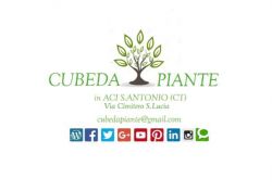 Cubeda piante 