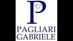 Pagliari Noleggio Carrelli elevatori